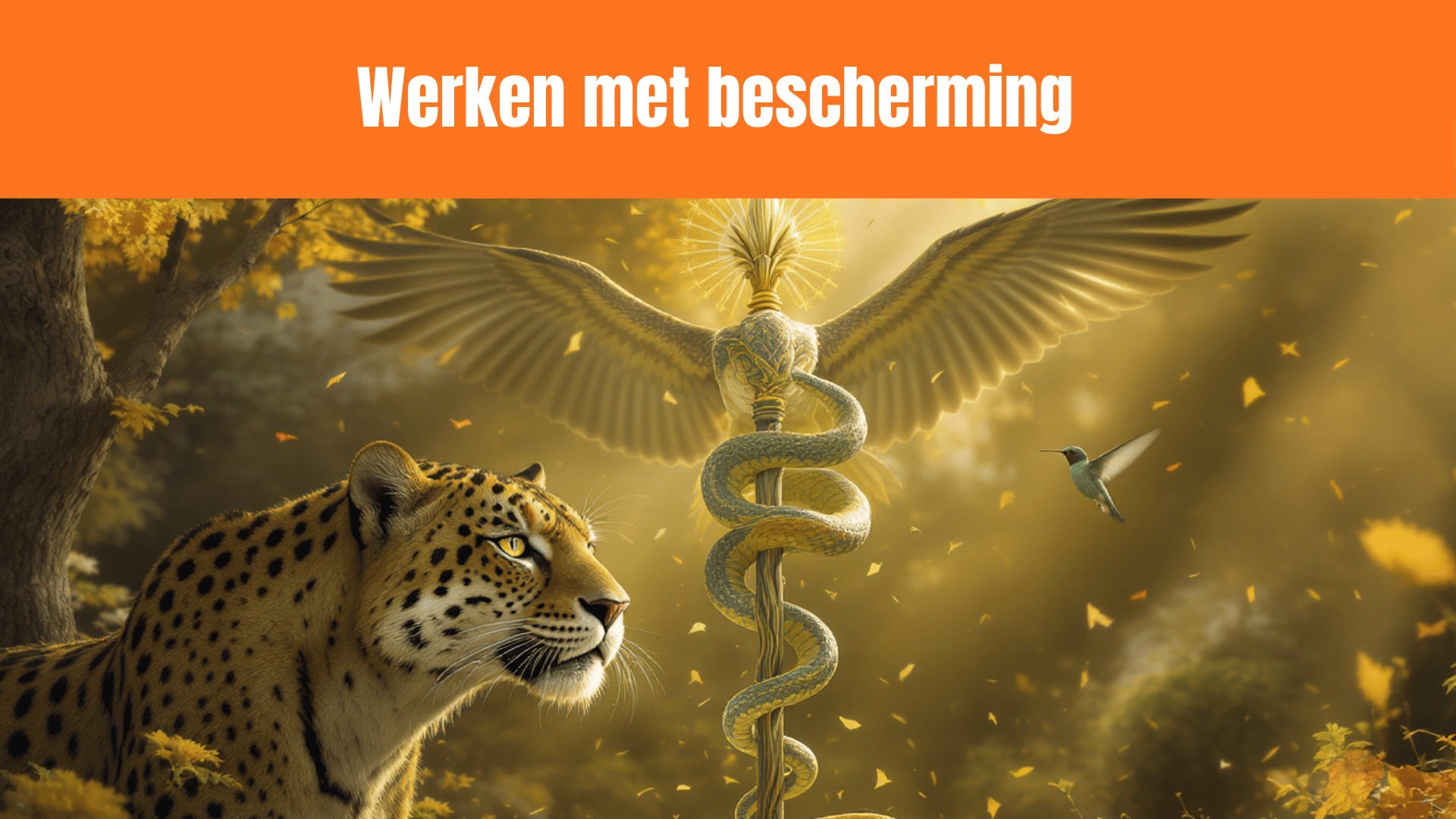 Werken met bescherming